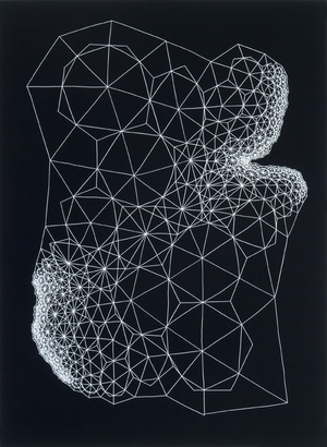 Clint_Fulkerson_White_Nebula_9