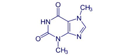 Chocolate (from Central Booking's web site)